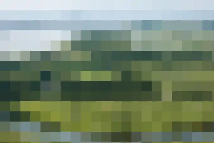 Zuiddijk 61 a 10 Oude-Tonge thumbnail 18