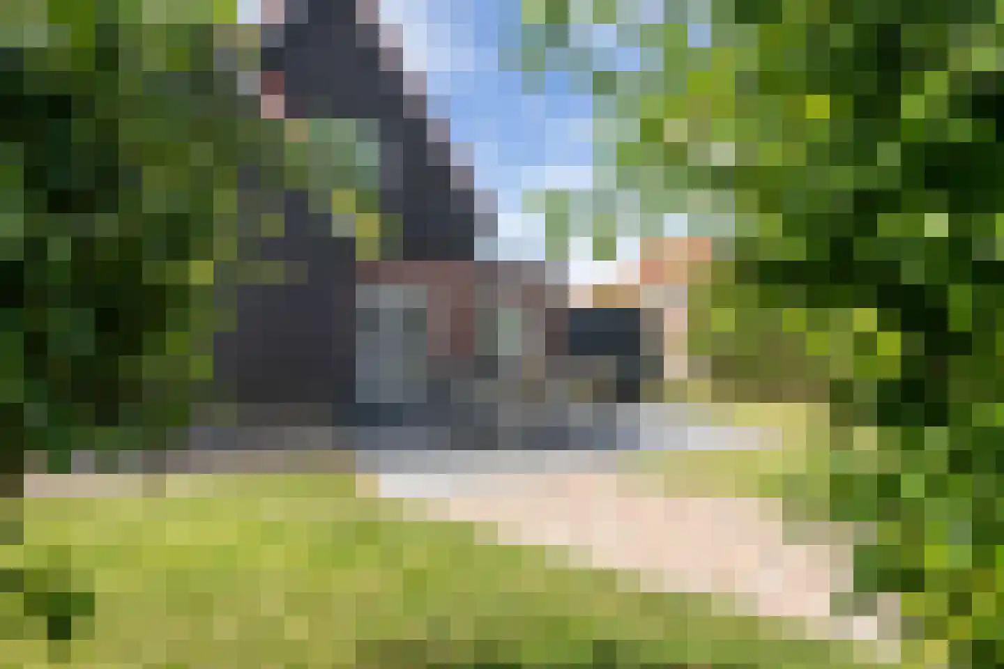 Zuiddijk 61 a 132 Oude-Tonge thumbnail 35