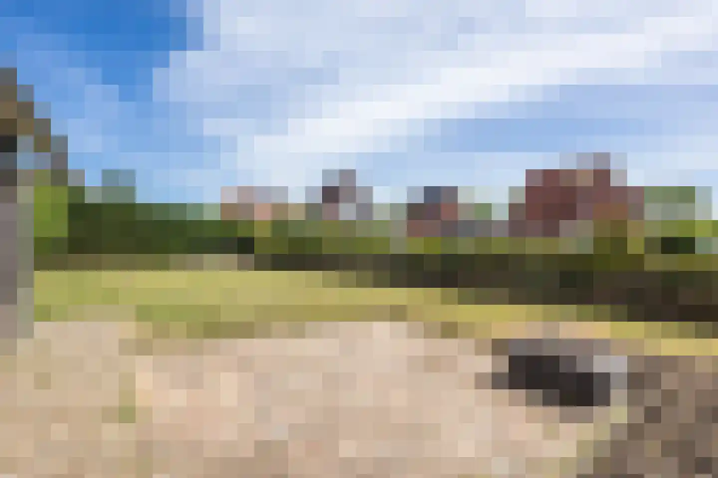 Zuiddijk 61 a 132 Oude-Tonge thumbnail 37