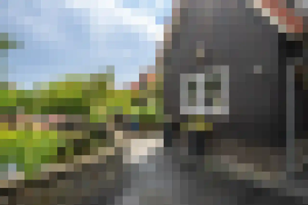 Zuiddijk 61 a 134 Oude-Tonge thumbnail 26