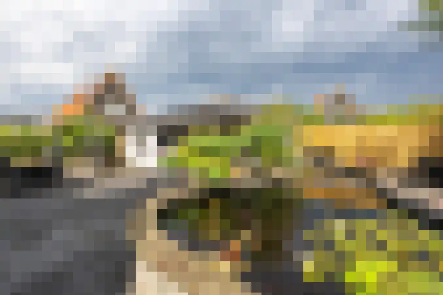 Zuiddijk 61 a 134 Oude-Tonge thumbnail 31