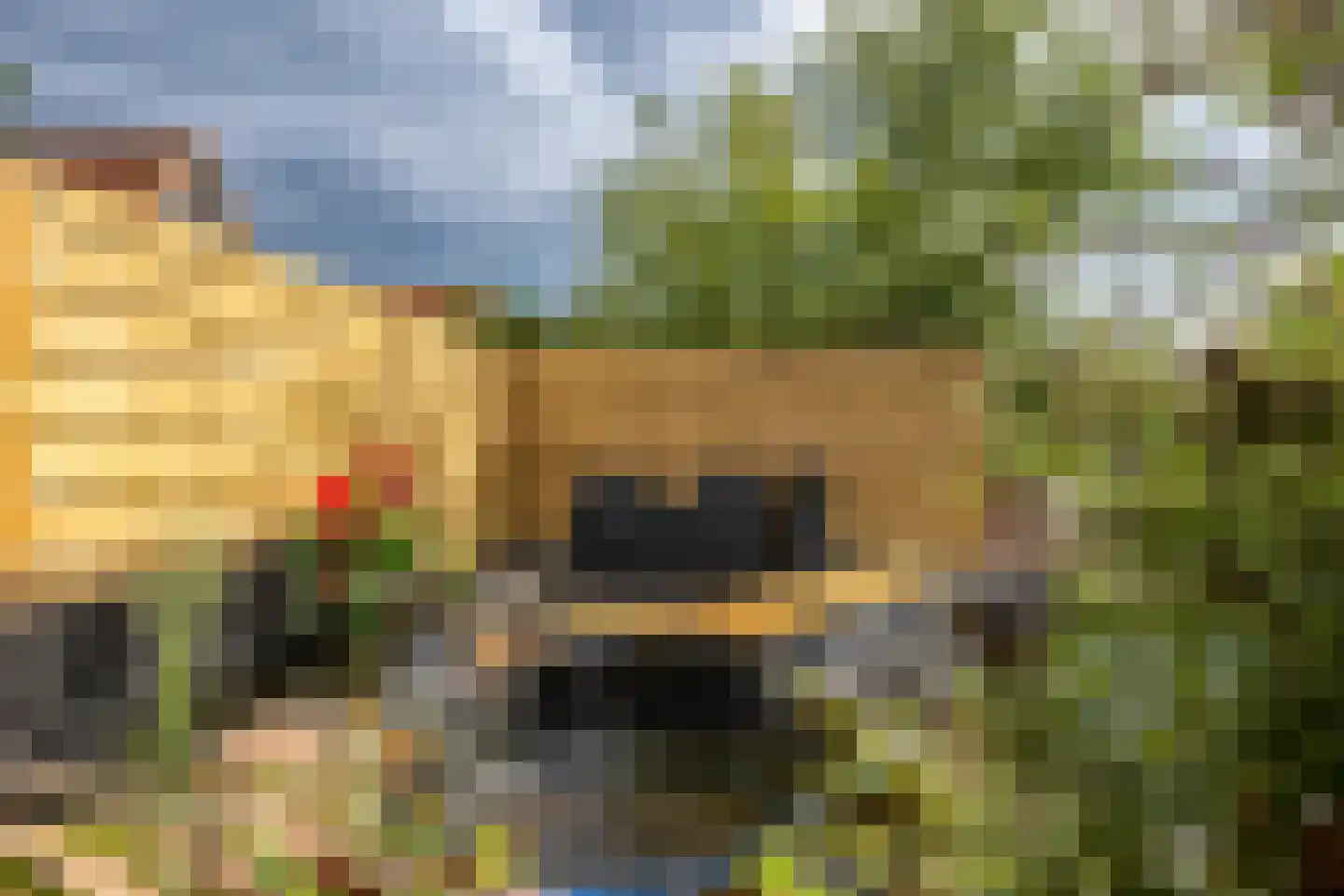 Zuiddijk 61 a 134 Oude-Tonge thumbnail 35