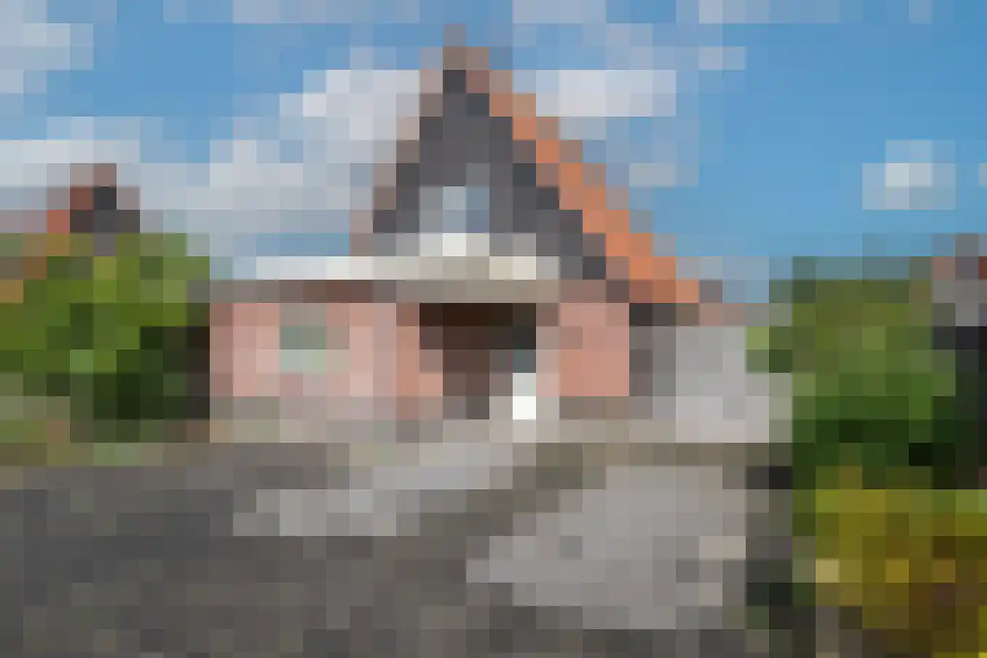 Zuiddijk 61 a 134 Oude-Tonge thumbnail 38