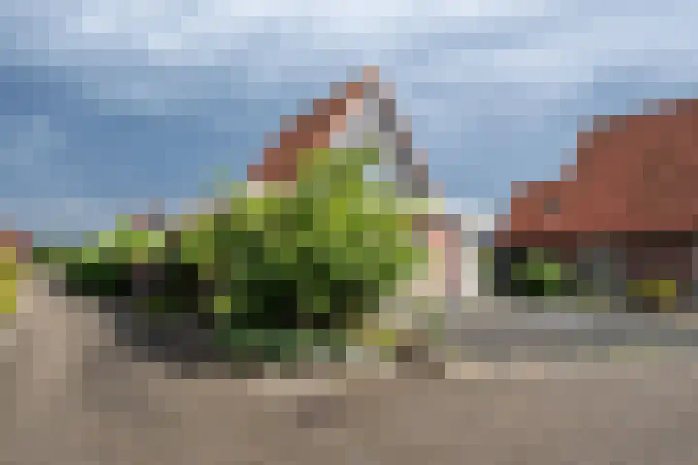 Zuiddijk 61 a 134 Oude-Tonge thumbnail 39