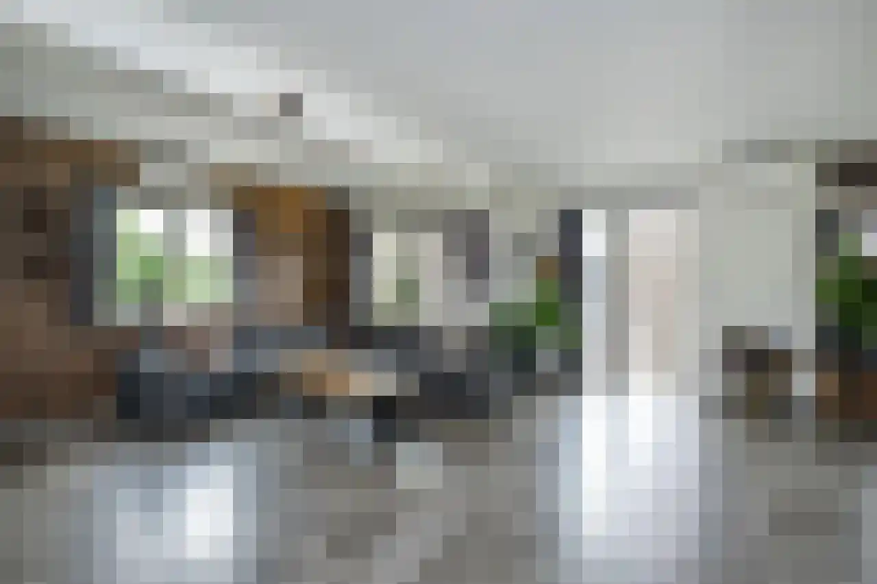 Zuiddijk 61 a 134 Oude-Tonge thumbnail 6