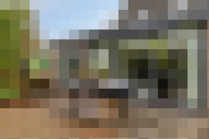 Zuiddijk 61 a 84 Oude-Tonge thumbnail 26