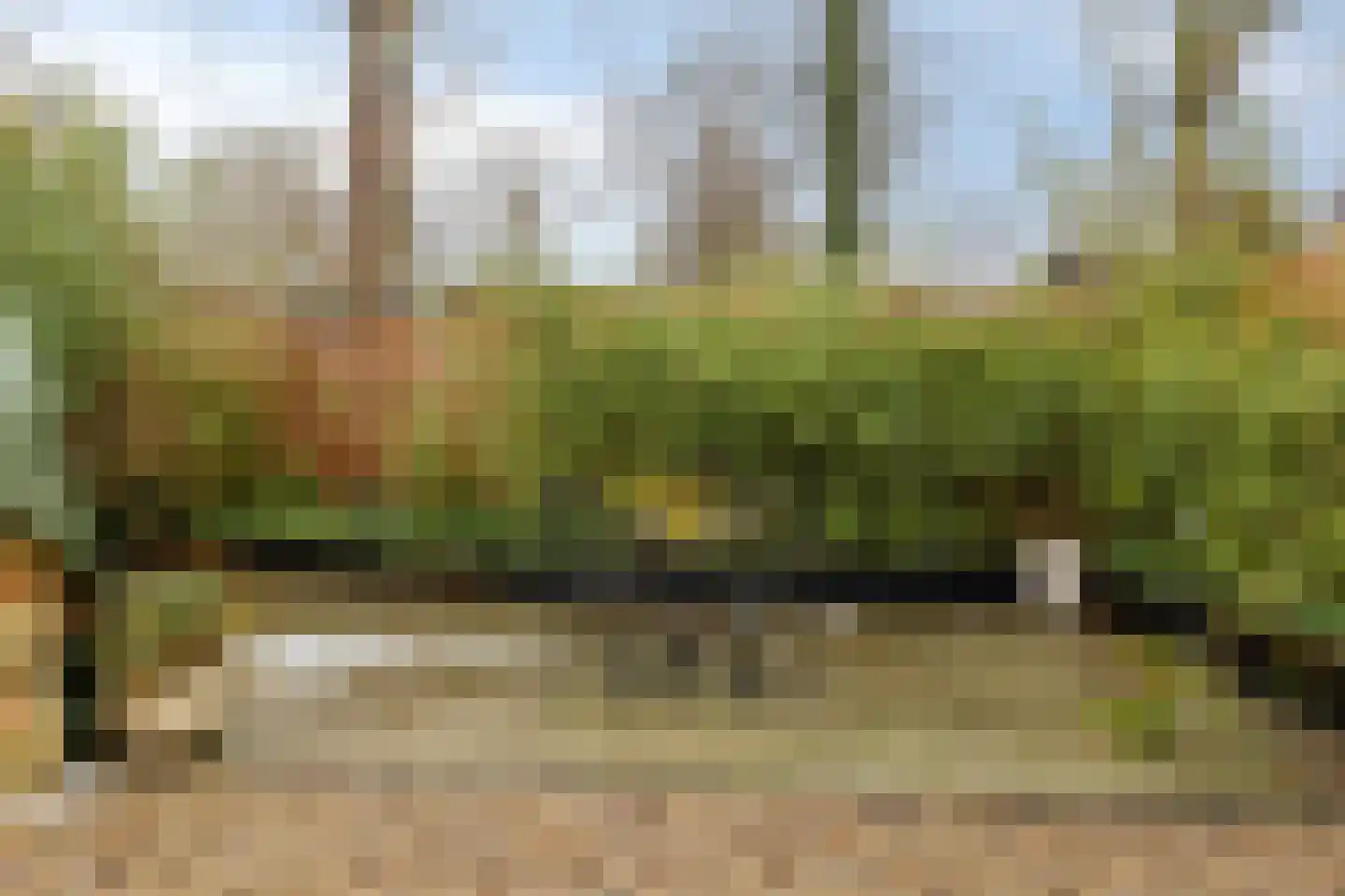 Zuiddijk 61 a 84 Oude-Tonge thumbnail 27