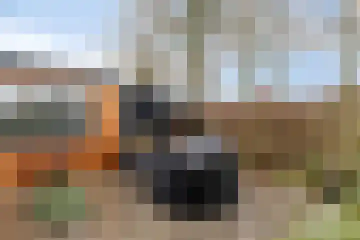 Zuiddijk 61 a 84 Oude-Tonge thumbnail 6