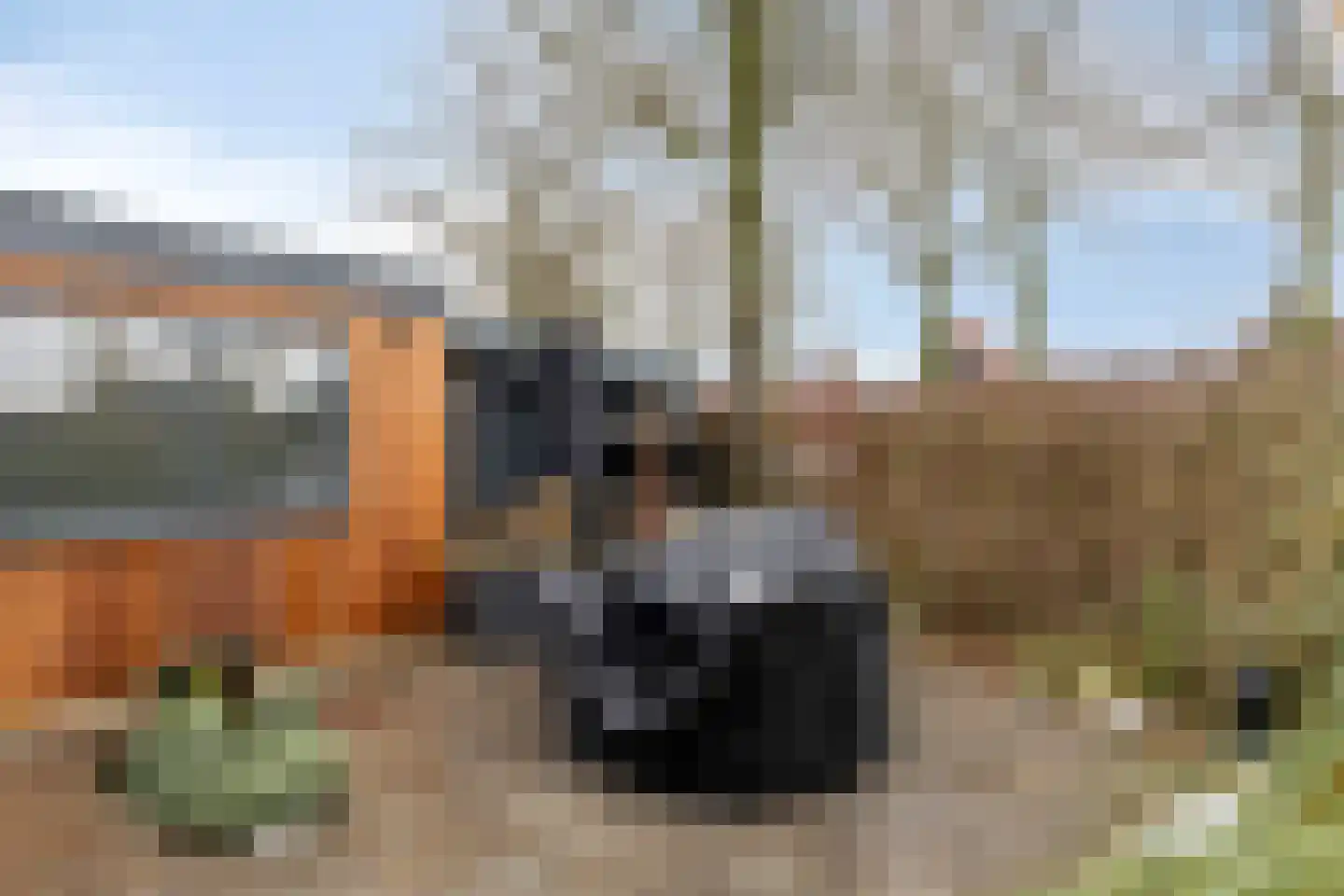 Zuiddijk 61 a 84 Oude-Tonge thumbnail 7