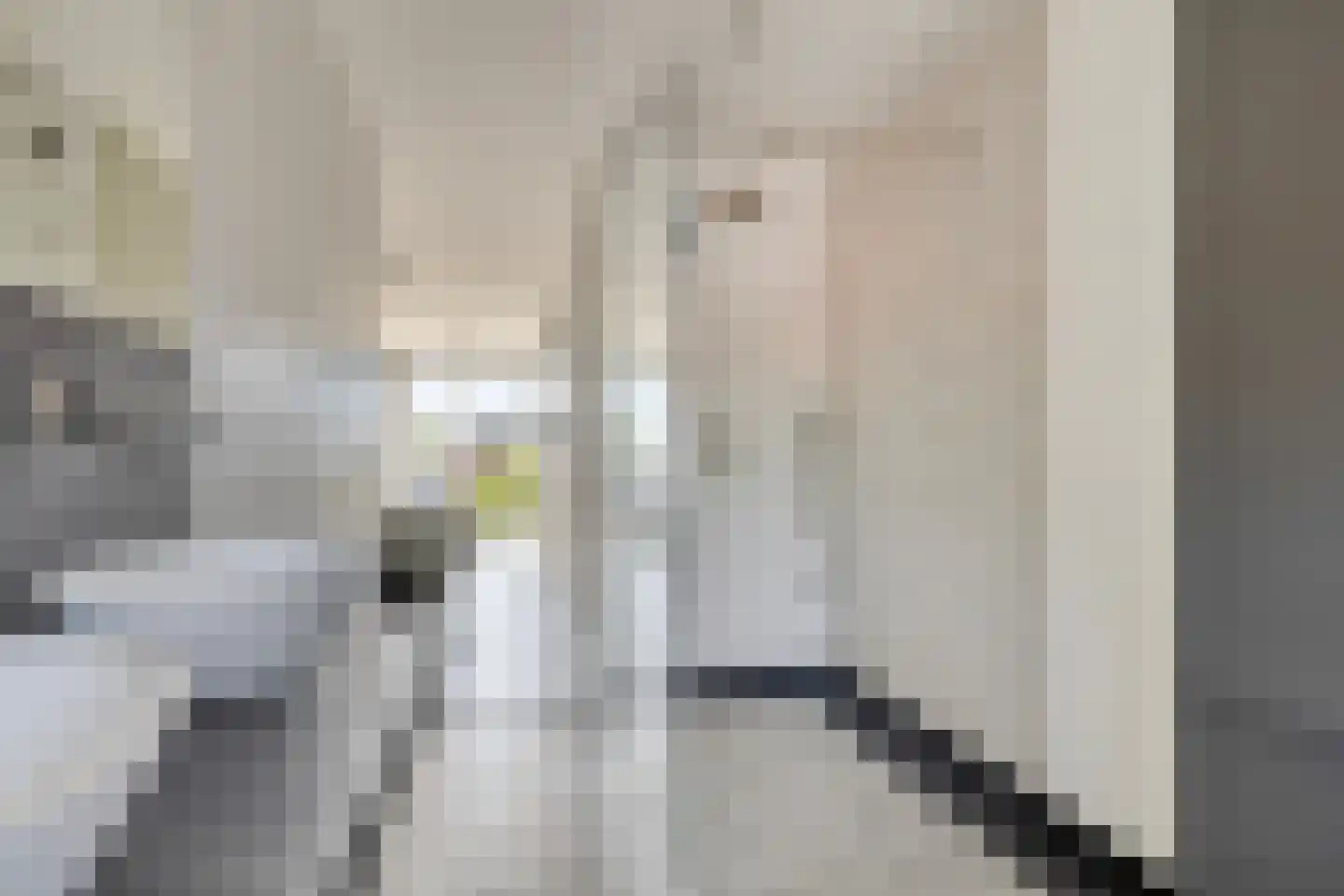 Zuiddijk 70 Zaandam thumbnail 31