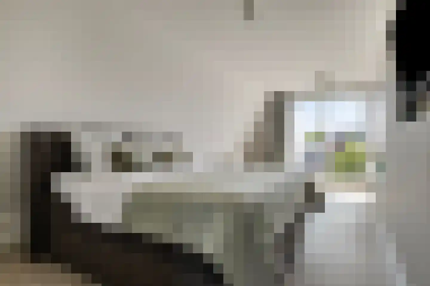 Zuiddijk 70 Zaandam thumbnail 39