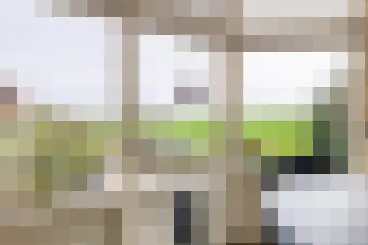 Zuiddijk 74 Langeweg thumbnail 22