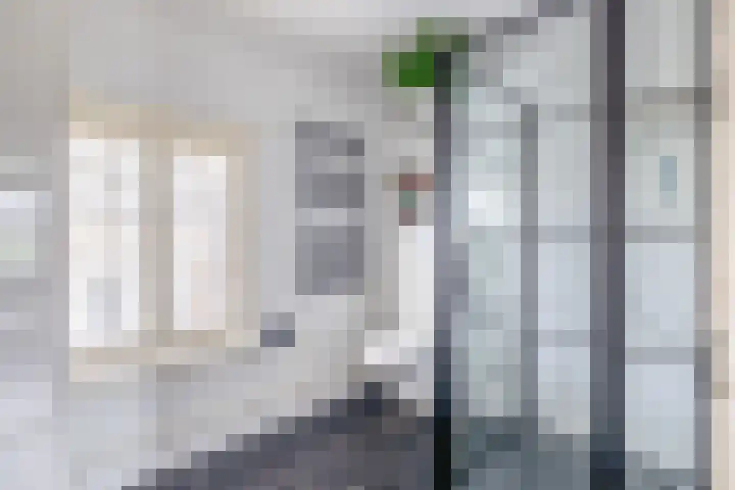 Zuiddijk 74 Langeweg thumbnail 31