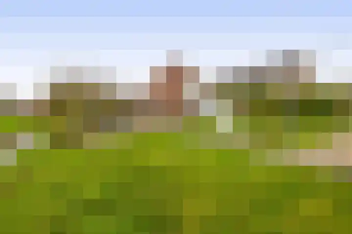 Zuiddijk 74 Langeweg thumbnail 34