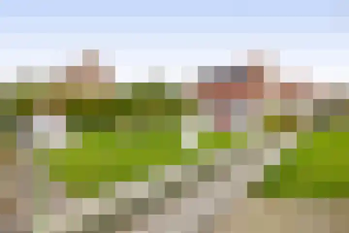Zuiddijk 74 Langeweg thumbnail 35