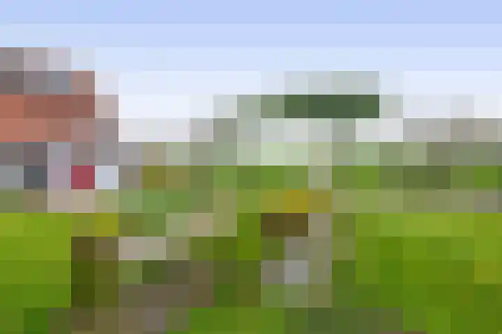Zuiddijk 74 Langeweg thumbnail 36
