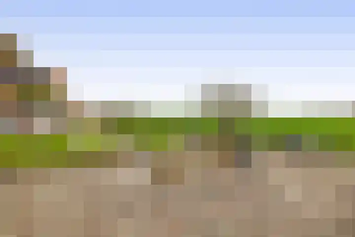 Zuiddijk 74 Langeweg thumbnail 37