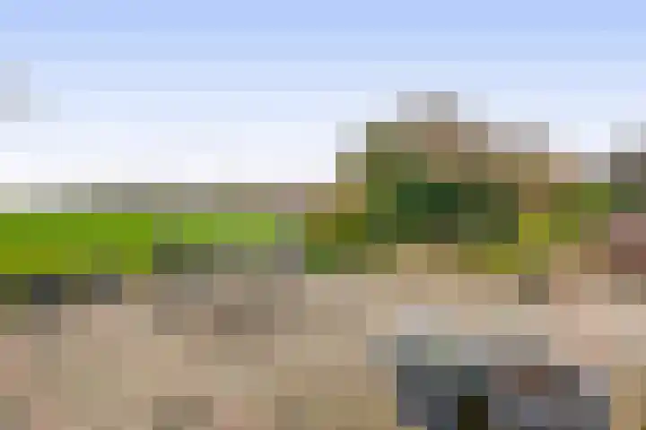 Zuiddijk 74 Langeweg thumbnail 38