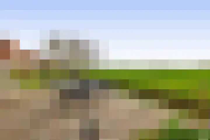 Zuiddijk 74 Langeweg thumbnail 39