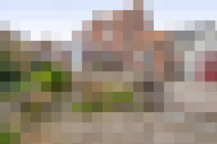 Zuiddijk 74 Langeweg thumbnail 4
