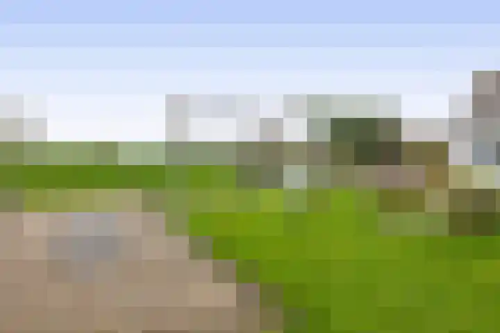 Zuiddijk 74 Langeweg thumbnail 40