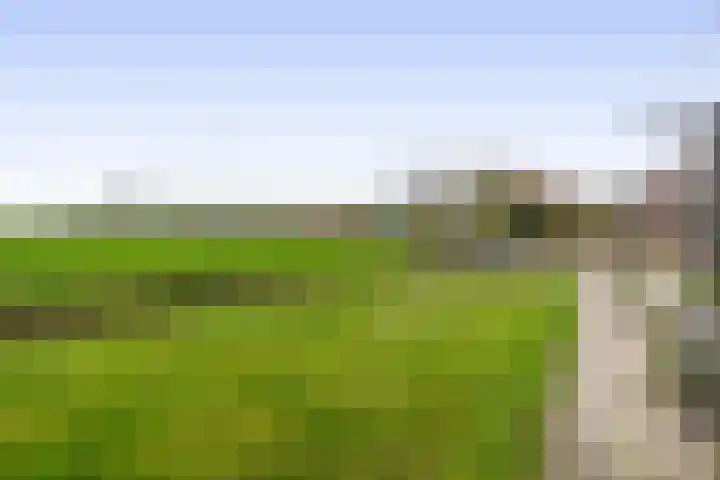 Zuiddijk 74 Langeweg thumbnail 41
