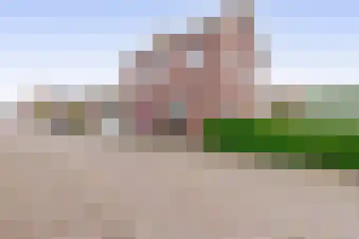 Zuiddijk 74 Langeweg thumbnail 5