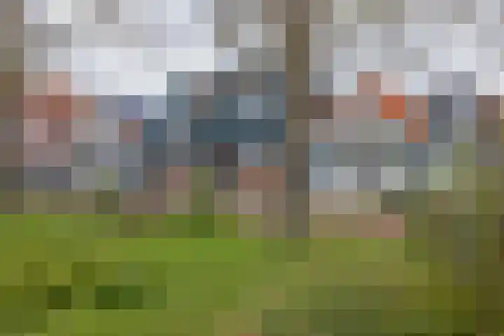 Zuiddijk 75 A Zaandam thumbnail 6