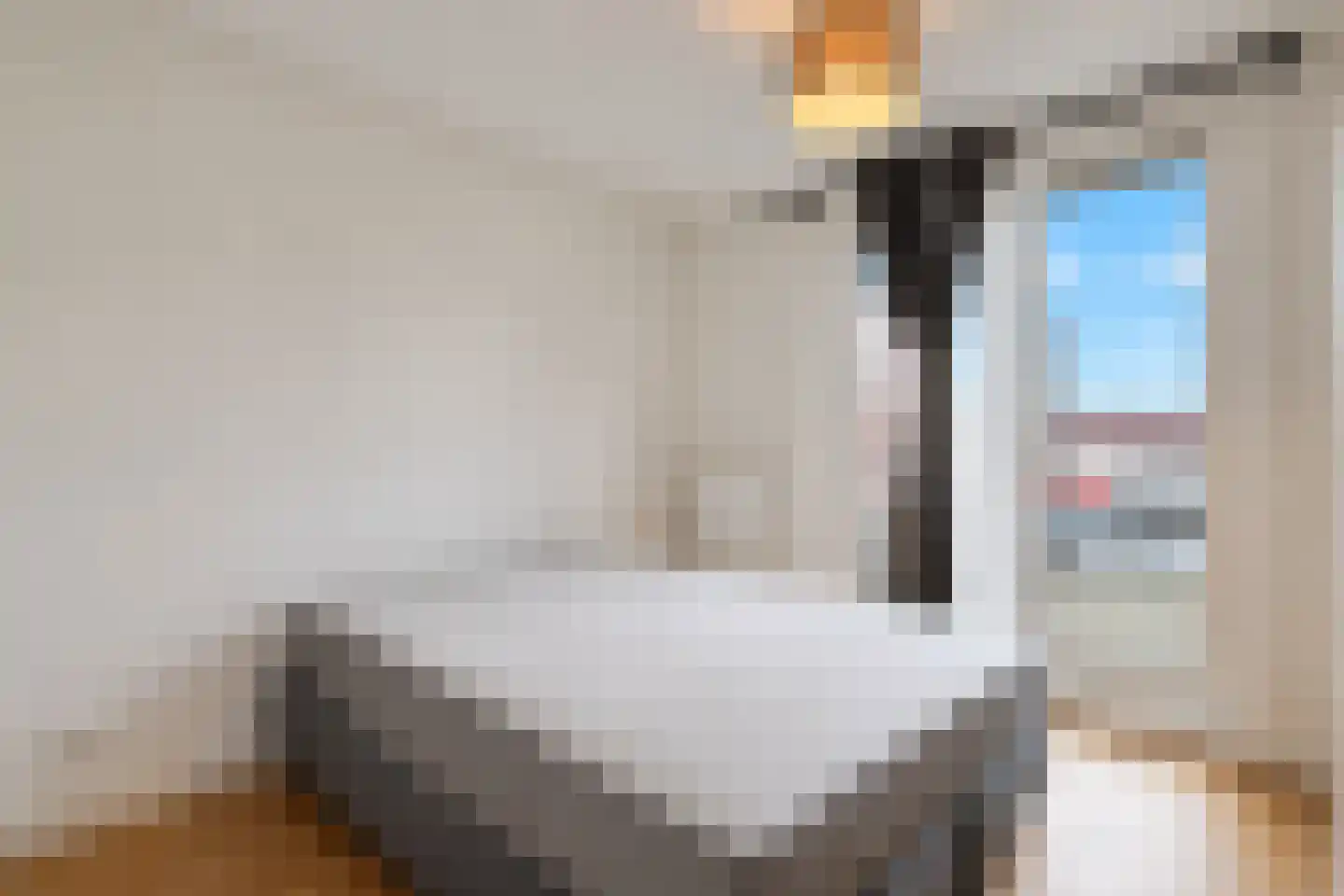 Zuiddijk 77 Zaandam thumbnail 23