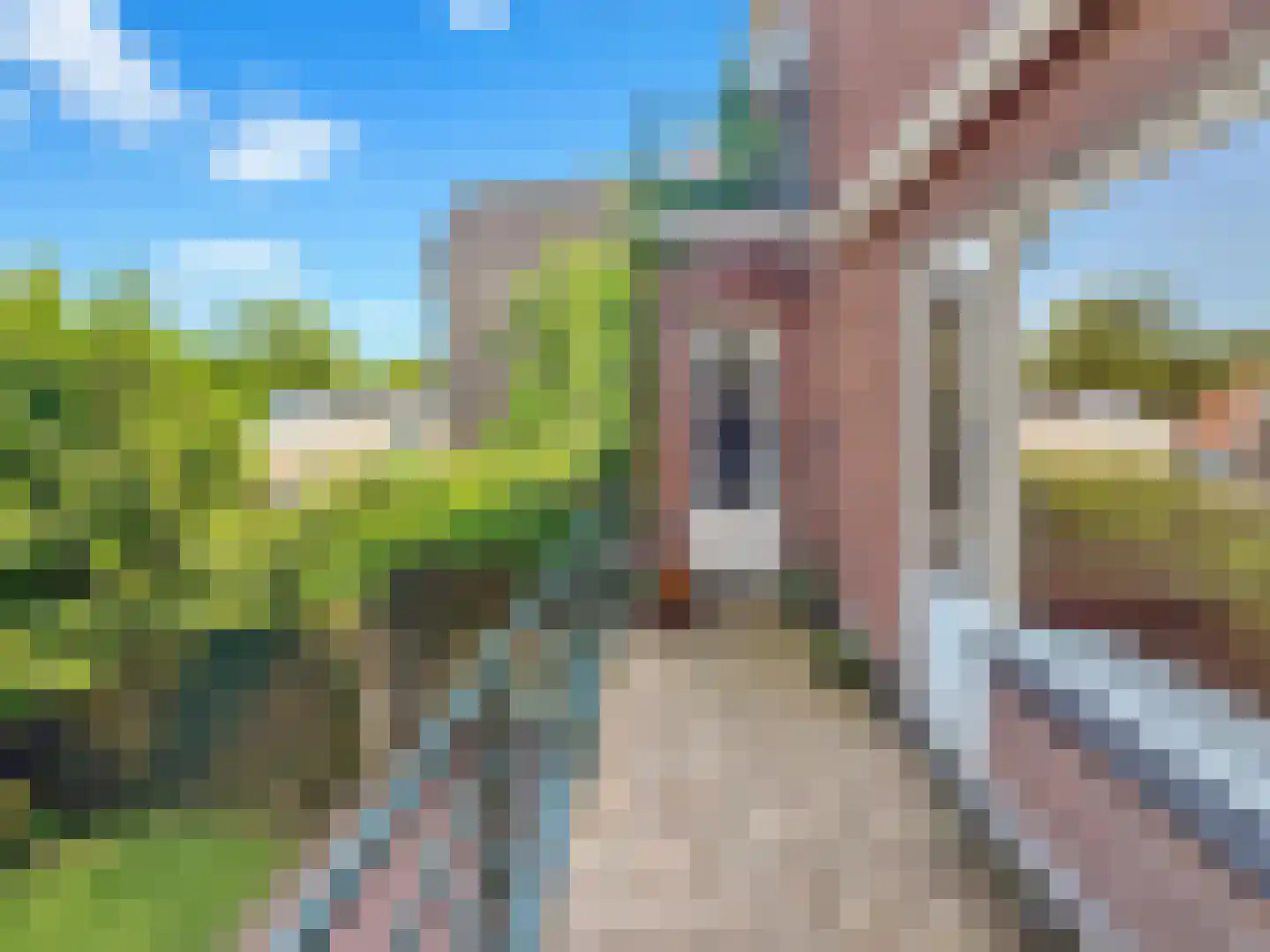 Zuiddijk 83 Zaandam thumbnail 9