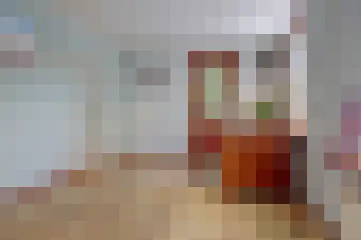 Zuiddijk 9 Dreischor thumbnail 19