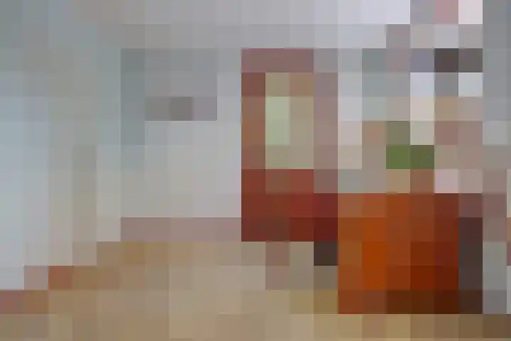 Zuiddijk 9 Dreischor thumbnail 20