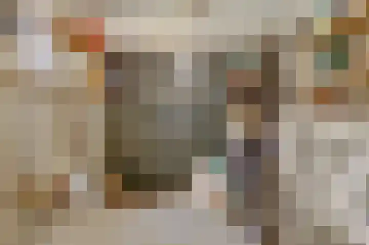 Zuiddijk 9 Dreischor thumbnail 34