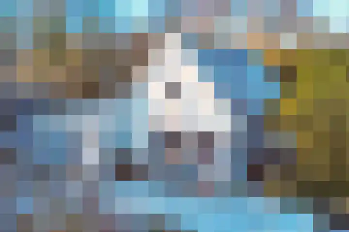 Zuiddijk 9 Dreischor thumbnail 36