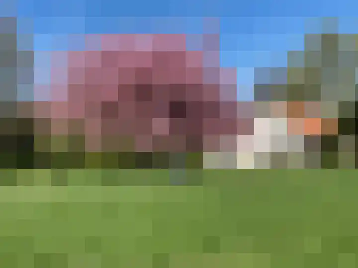 Zuiddijk 9 Dreischor thumbnail 4
