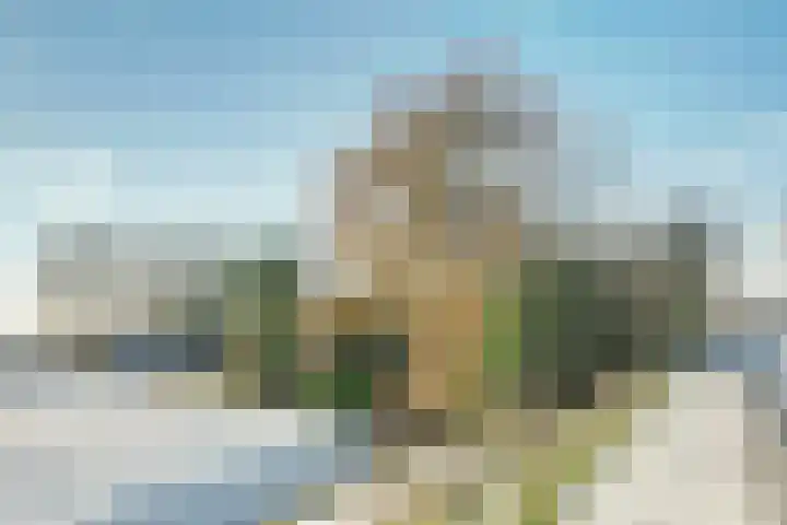 Zuiddijk 9 Dreischor thumbnail 51