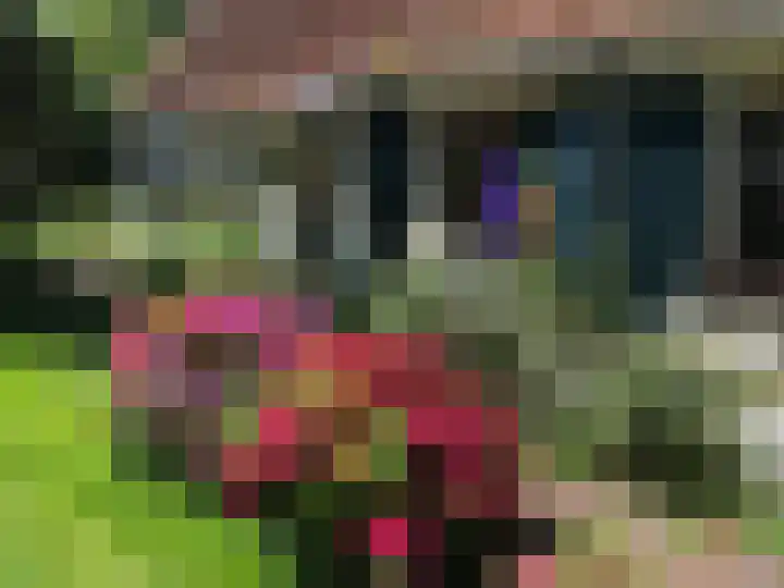 Zuiddijk 9 Dreischor thumbnail 64