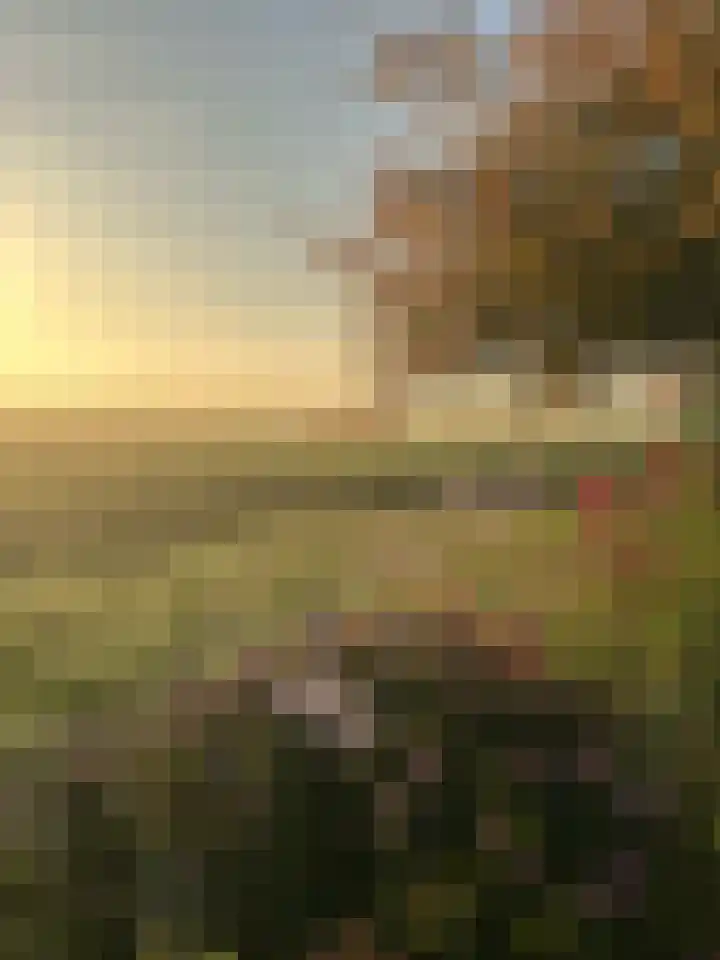 Zuiddijk 9 Dreischor thumbnail 69