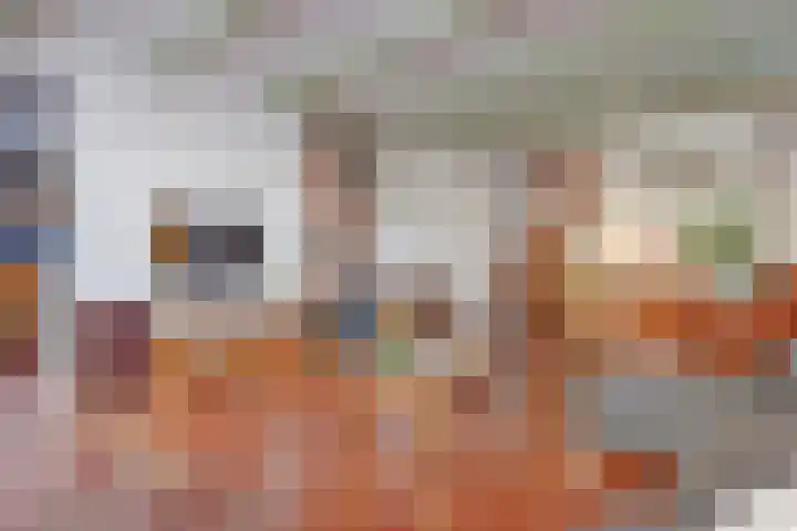 Zuiddijk 9 Dreischor thumbnail 7