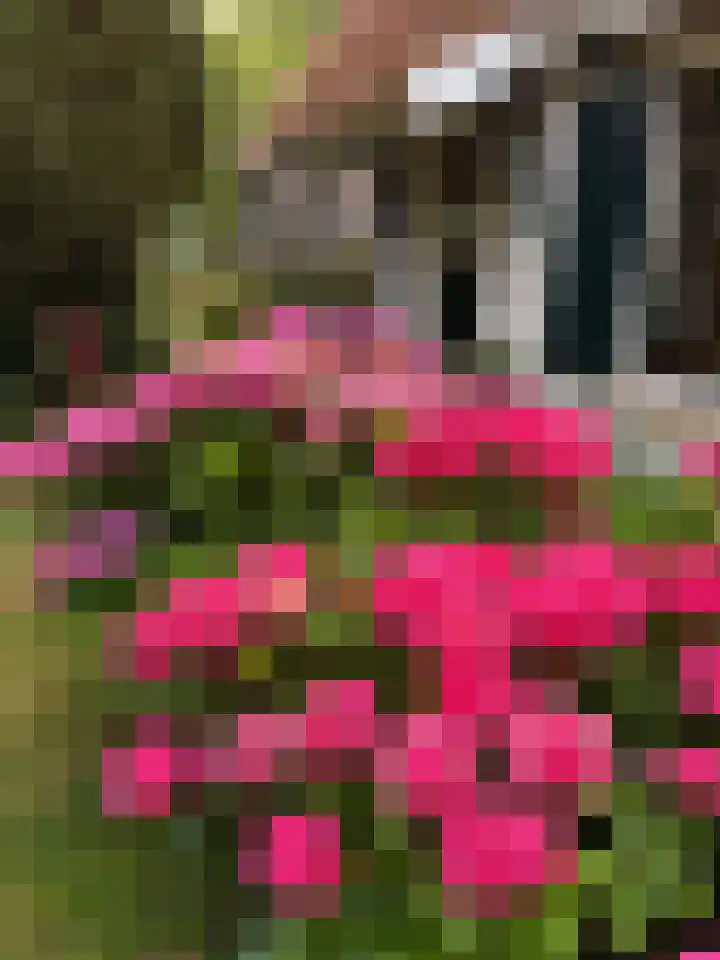 Zuiddijk 9 Dreischor thumbnail 71