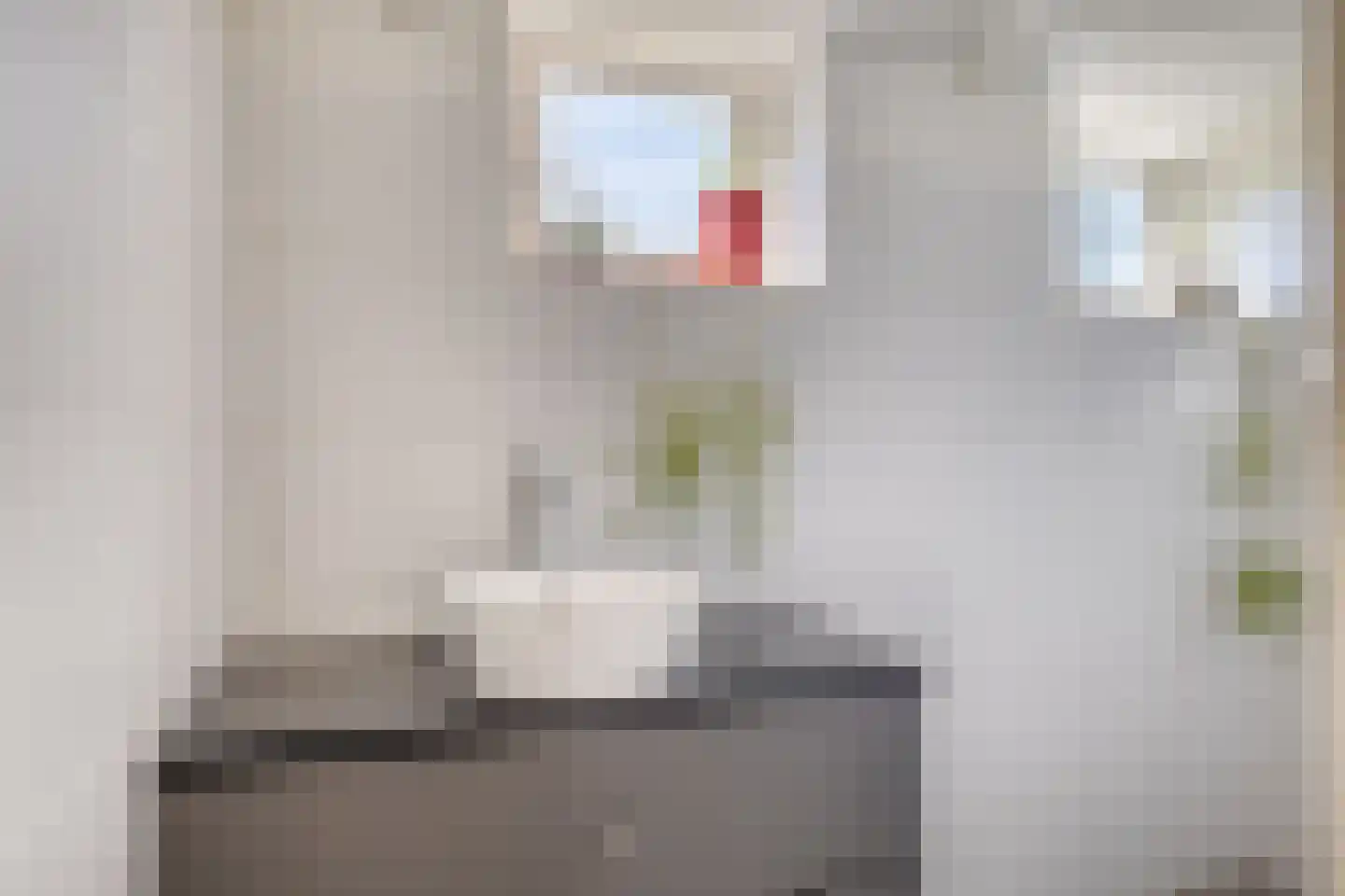 Zuiddijk 9 Noordgouwe thumbnail 13