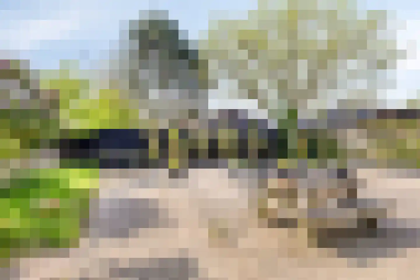 Zuiddijk 9 Noordgouwe thumbnail 18