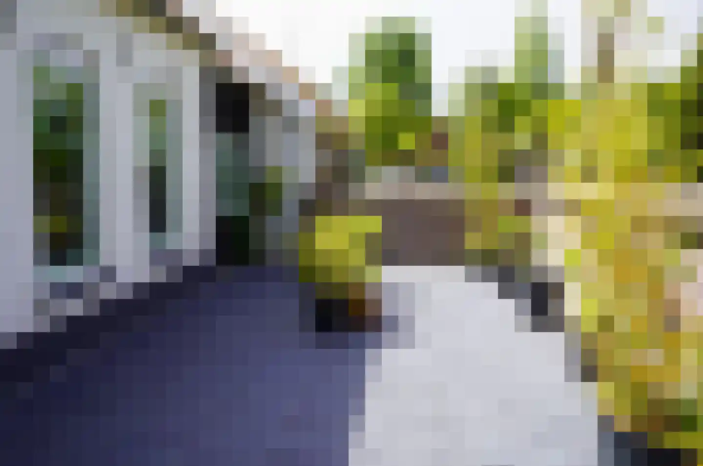 Zuiddijk 9 Noordgouwe thumbnail 20