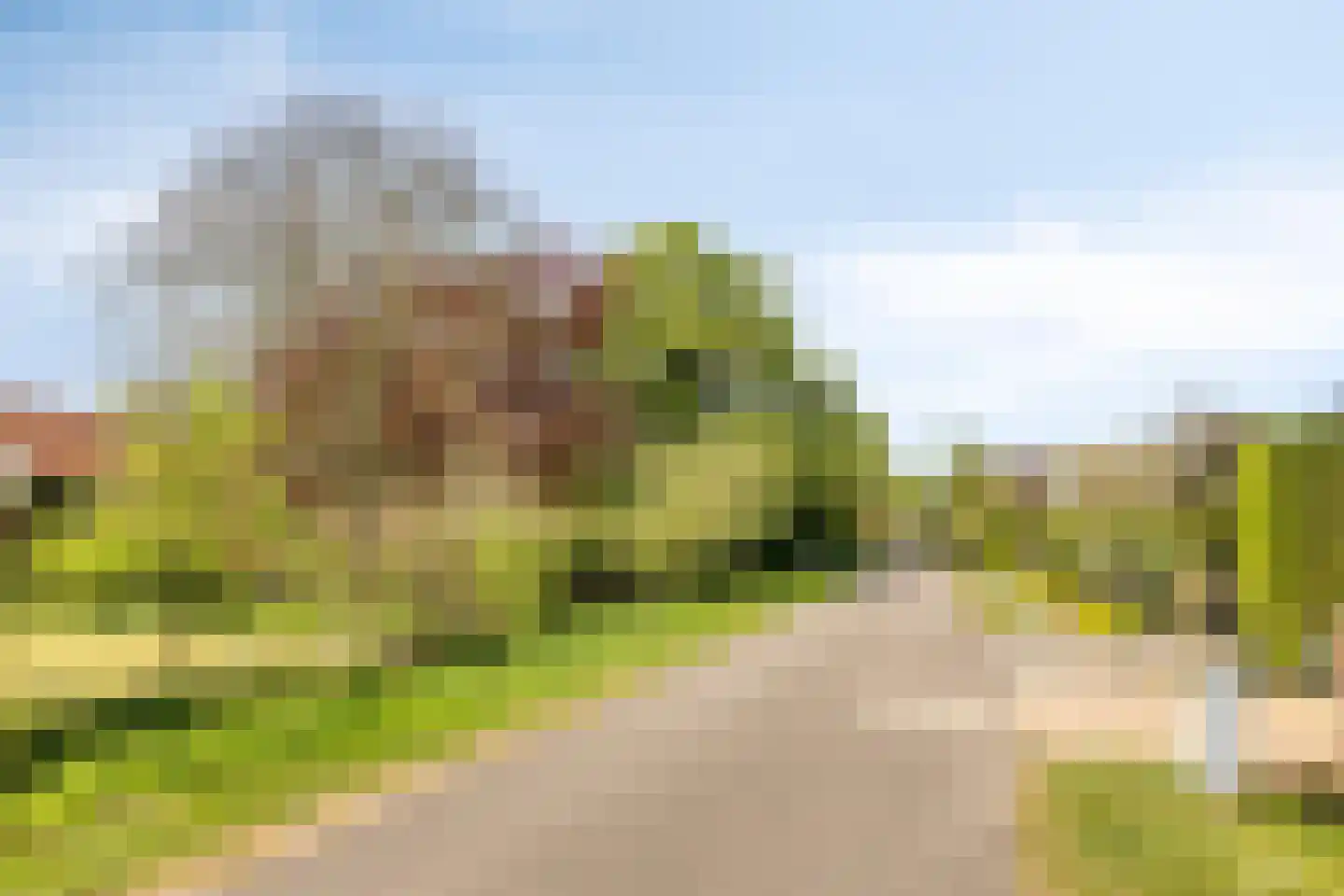 Zuiddijk 9 Noordgouwe thumbnail 25