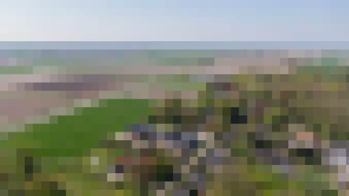Zuiddijk 9 Noordgouwe thumbnail 28