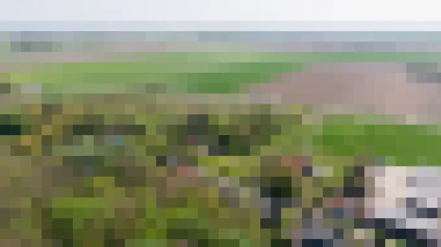 Zuiddijk 9 Noordgouwe thumbnail 29