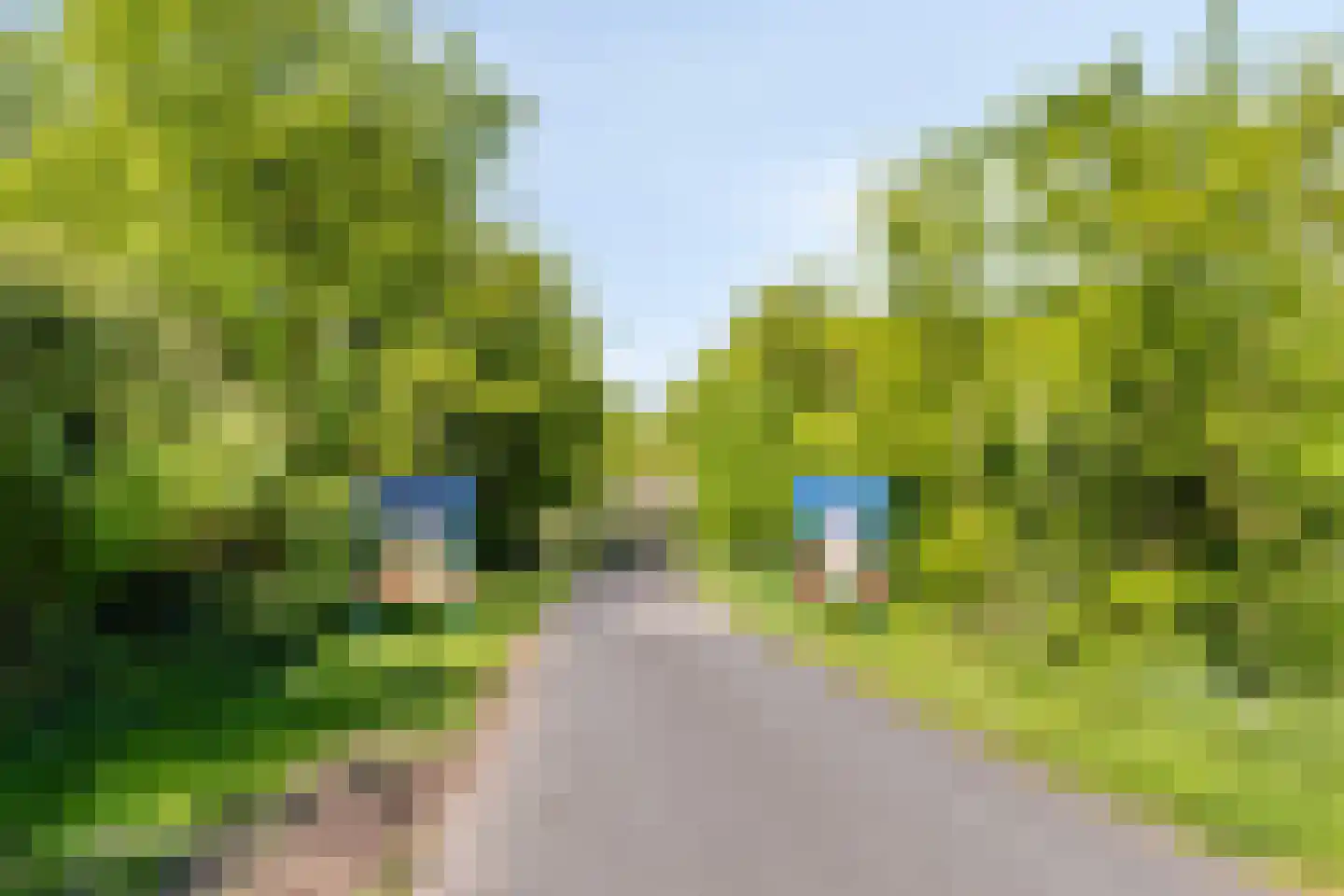 Zuiddijk 9 Noordgouwe thumbnail 31
