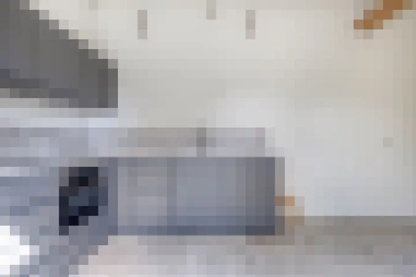 Zuiddijk 9 Noordgouwe thumbnail 5