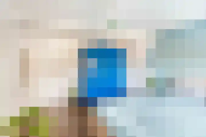 Zuiddijk 9 Oude-Tonge thumbnail 20