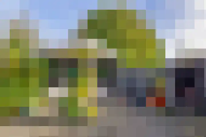 Zuiddijk 9 Oude-Tonge thumbnail 23